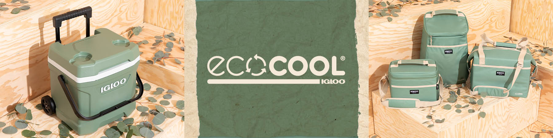 Ecocool Collection of Recycled Plastic Coolers | Igloo