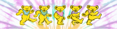 Grateful Dead Cooler Collection Banner