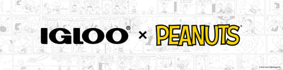 Collection Banner