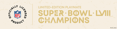 NFL Super Bowl Champions