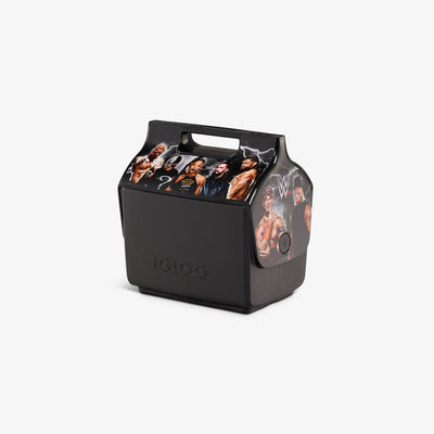 https://www.igloocoolers.com/cdn/shop/files/00027752-H3.jpg?v=1690921513&width=400