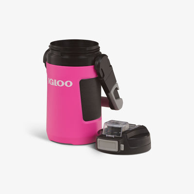 Lid Off View | Rival 1 Qt Jug::Pink Fizz::Foam-wall insulation