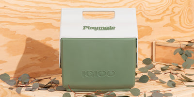 Igloo ECOCOOL Cube 12 Vintage Green