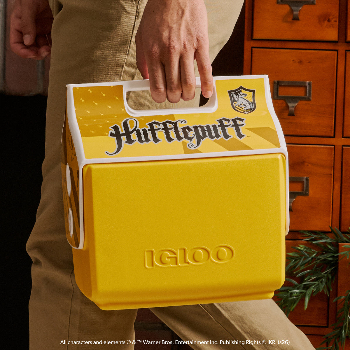 HARRY POTTER HOGWARTS™ House Little Playmate 9 Qt Cooler