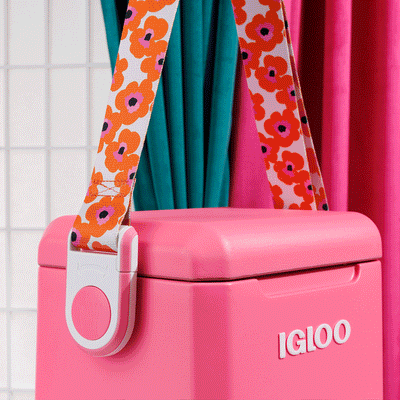Tag Along Remix | Igloo