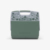 Front View | MNLDT Dogfish Head ECOCOOL Playmate Elite 16 Qt Cooler