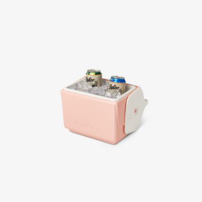 Open View | Little Playmate 7 Qt Cooler::Sashimi::THERMECOOL™ Insulation