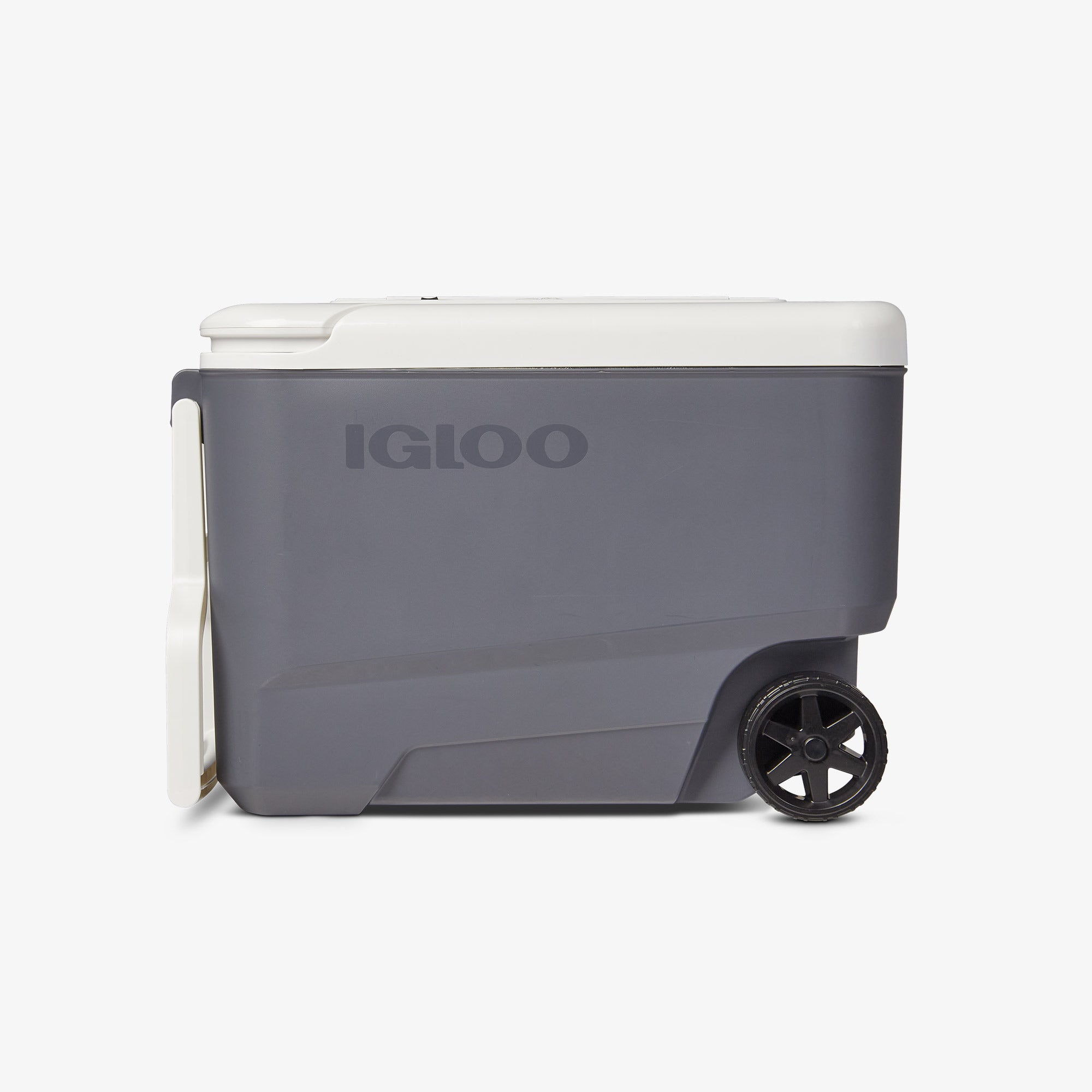 Photos - Car Cooler & Fridge Igloo Versatemp 35 Qt Wheeled Electric Cooler 6616020975699