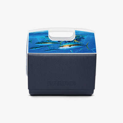 Back View | Amadeo Bachar Playmate Elite Paddy Yellowtail 16 Qt Cooler