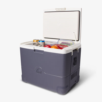 Electric Cooler Portable Picnic Travel Car Refrigerator Food Drink Storage  Box