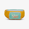 Large View | Retro Fanny Pack