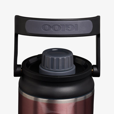 Lid View | 36 Oz Twist ‘n’ Chug Bottle::Gloss Flamingo::1/4 turn chugger cap